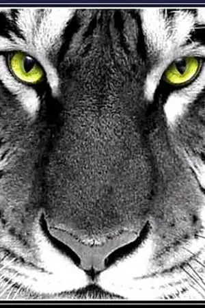 ปกนิยาย เล่พยัคฆ์