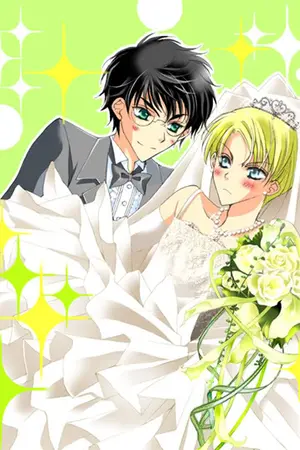 ปกนิยาย [Fic Harry][HP/DM] Confuse(yaoi)