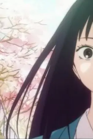 ปกนิยาย My Sakura