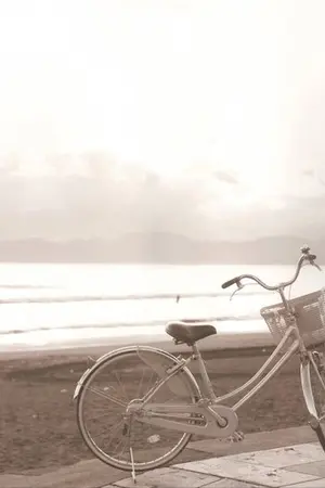 ปกนิยาย MUSIC Translation แปลเพลงสากลและอื่นๆ