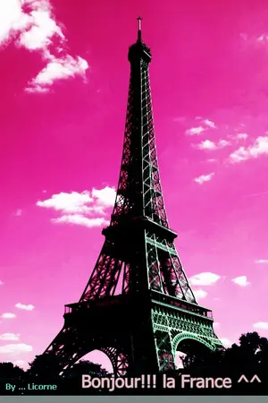 ปกนิยาย ภาษาฝรั่งเศสฉบับ "ฉัน ฉัน" {Le franςais,C'est génial !!!}