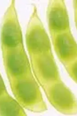 ปกนิยาย รู้ไหมว่า ผู้ชายกินแบบไหนถึงได้ไม่อ้วน