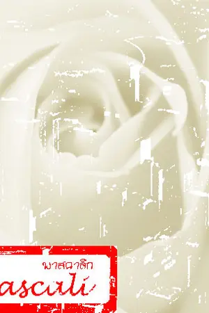 ปกนิยาย Pascali... พาสคาลิ'' [HanChul]~