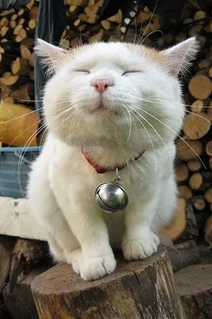 ปกนิยาย The love from the past :: ความรักจากอดีต