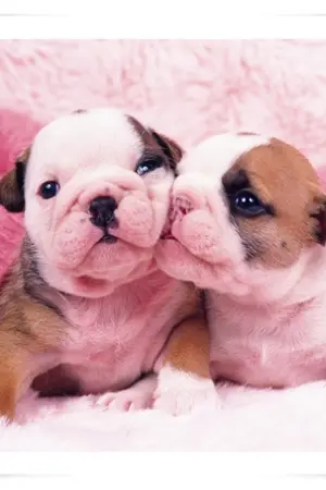 ปกนิยาย เพราะ...แม่รักเจ้า