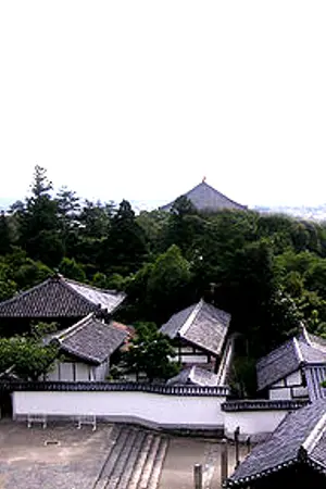 ปกนิยาย เมืองนารา