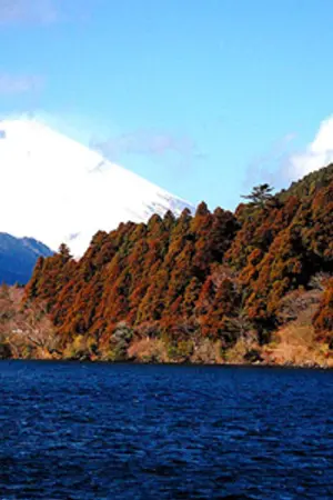 ปกนิยาย เมืองฮาโกเน่