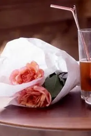 ปกนิยาย สานรัก...สายใยปรารถนา