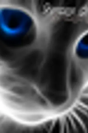 ปกนิยาย HIBIKI สงครามเทพนักษัตร : ภาคเครื่องหมายชิ้นสุดท้าย