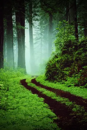 ปกนิยาย กระท่อมนำทาง ตีตราหนังสืออนุญาตพำนัก