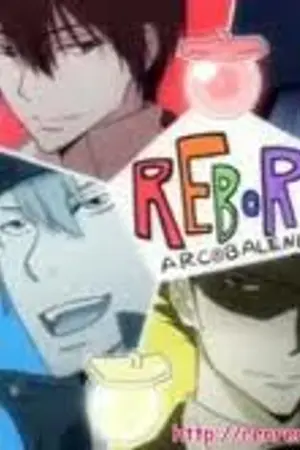 ปกนิยาย โดจินรีบอร์น(ใหม่ล่าสุด)