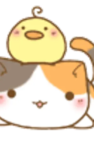 ปกนิยาย มีของสะสมมากมาย งิงิ