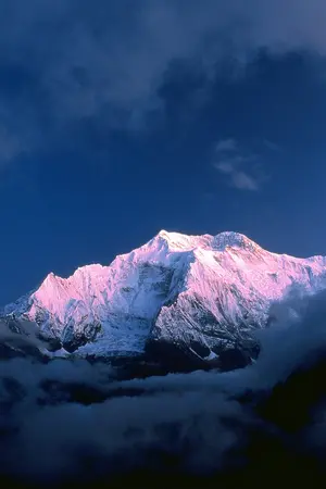 ปกนิยาย ปริศนารักแชงกรีล่า ตอนที่ 23 ข้อสันนิษฐาน  100%