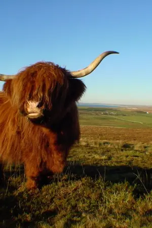 ปกนิยาย ฝนตก แดดออก แล้วเราจะพบกัน