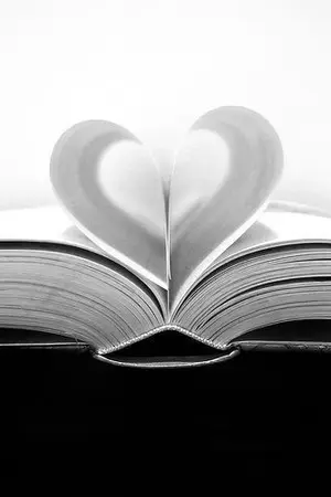 ปกนิยาย บันทึกรักนางบำเรอ