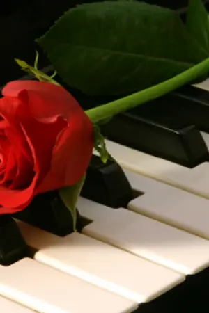 ปกนิยาย Valentine Love เมื่อไหร่จะรักผมซักที (Yaoi)