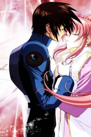 ปกนิยาย กันดั้ม    ซีด    เดสทีนี