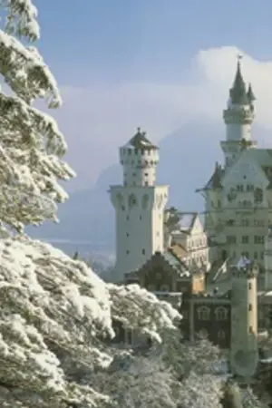 ปกนิยาย พระราชวังหลวงมิดเดิล