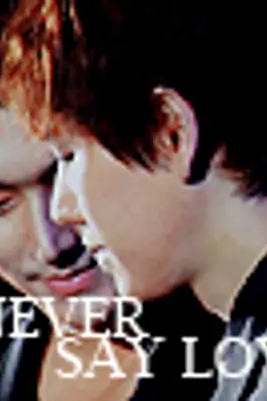 ปกนิยาย (FIC/YAOI) NEVER SAY LOVE - WONKYU