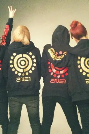 ปกนิยาย คุณหนูสุดซาส์ กะ คุณชายสุดหล่อ ( Fic : 2ne1 & Tvxq )