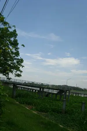 ปกนิยาย Rosa Diary บันทึกรักกุหลาบป่า