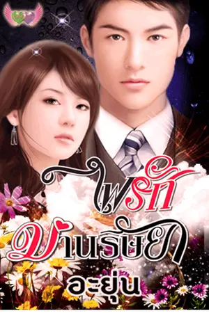 ปกนิยาย เรื่องไฟรัก ม่านริษยา(สำนักพิมพ์อักษรศาสตร์)