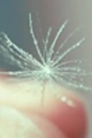 ปกนิยาย Secret's Room ( : P )V