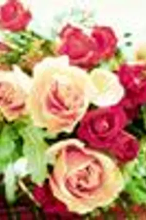 ปกนิยาย ภารกิจมายา The Pretence Duty