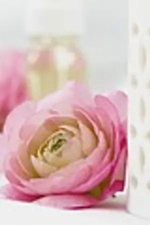 ปกนิยาย ต้นรักริมธารใจ