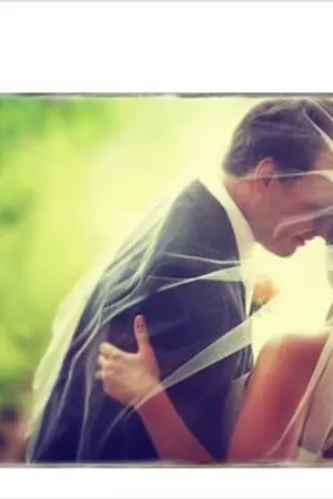 ปกนิยาย The One