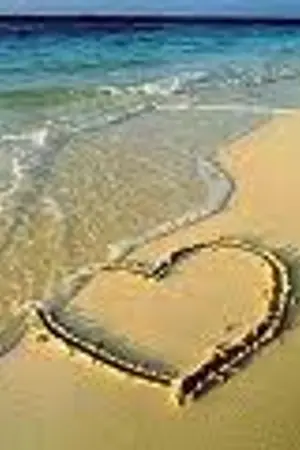 ปกนิยาย -Lust or Love? I don't care- (Yaoi)