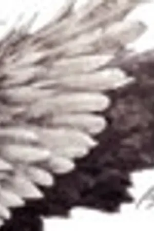 ปกนิยาย ทำนบที่หักพัง