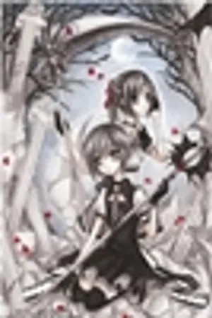 ปกนิยาย รวมภาคพิเศษ Wings of Twins and Destiny of Magician