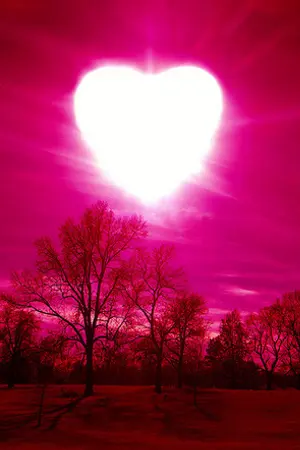 ปกนิยาย วาระหัวใจ