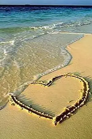 ปกนิยาย TALE 1 : จากปรารถนา(Rewrite)