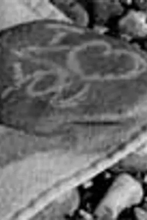 ปกนิยาย รอยชื่อบนผาหิน