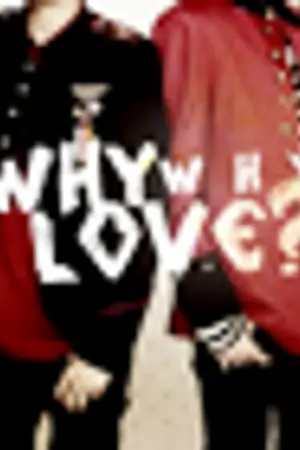 ปกนิยาย WHY ? WHY LOVE  [BOYFRIEND]