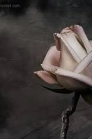 ปกนิยาย Rhythm of thrones