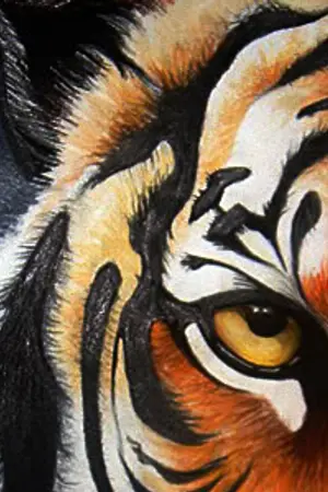 ปกนิยาย มายาไฟในดวงตา