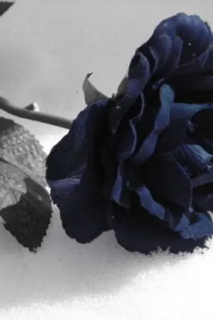 ปกนิยาย Fic Ghost Hunt (ฟิค ปริศนานักล่าผี)