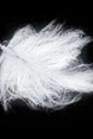 ปกนิยาย [FIC SJ KYUMIN] Love Or Not?