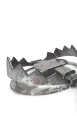 ปกนิยาย Castle of Deception