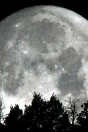 ปกนิยาย [FIC EXO] Blood of Nigth ราตรีสีเลือด [งดอัพฟิค]