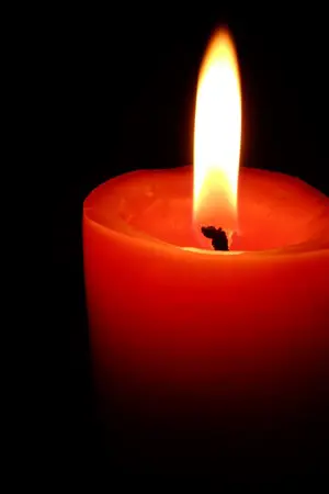 ปกนิยาย บุปผาวีรชน