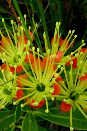 ปกนิยาย กุลสตรีแบบนี้มีที่ใหน