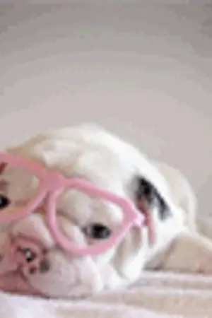 ปกนิยาย My lovelylesbian ยัยสาวหล่อสุดที่รัก ♥