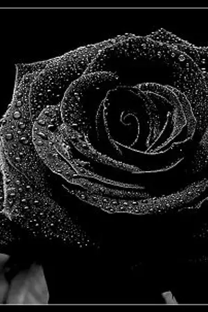 ปกนิยาย Pandora ;; ด้ายแห่งพันธะสีเลือด [รับสมัคร+บทที่สอง+ผล]