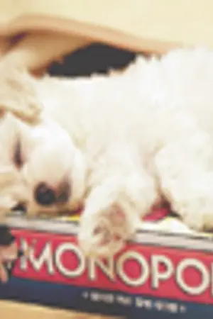 ปกนิยาย เก็บสูตรอาหารง่าย ๆ '