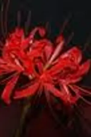 ปกนิยาย BlackSmith มนตราปรารถนา