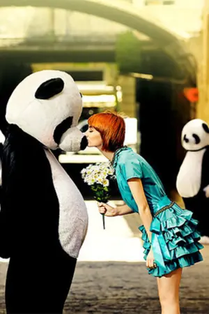 ปกนิยาย ► flip flop free theme.